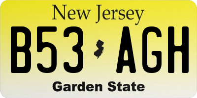 NJ license plate B53AGH