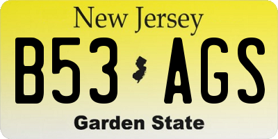 NJ license plate B53AGS