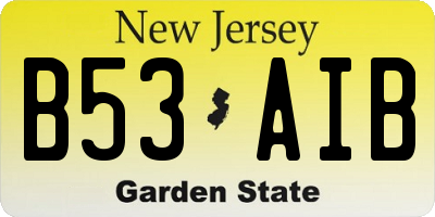 NJ license plate B53AIB