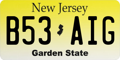 NJ license plate B53AIG