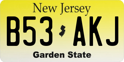 NJ license plate B53AKJ