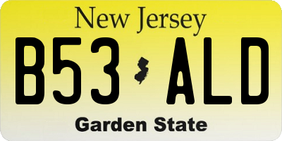 NJ license plate B53ALD
