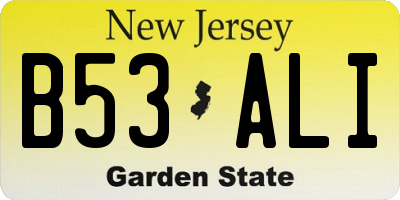 NJ license plate B53ALI
