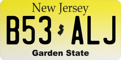 NJ license plate B53ALJ