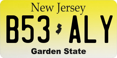 NJ license plate B53ALY