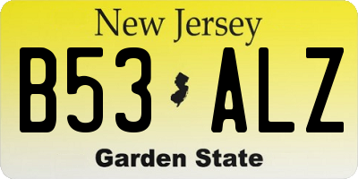 NJ license plate B53ALZ