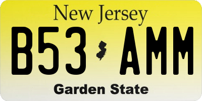 NJ license plate B53AMM