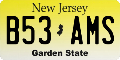 NJ license plate B53AMS