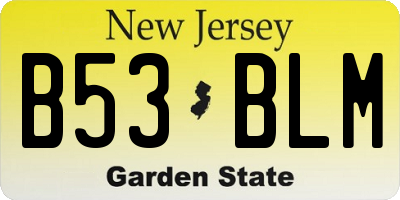 NJ license plate B53BLM