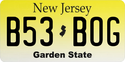 NJ license plate B53BOG
