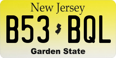 NJ license plate B53BQL