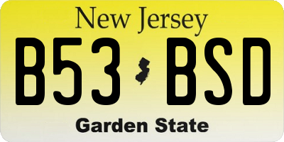 NJ license plate B53BSD
