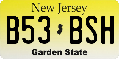 NJ license plate B53BSH