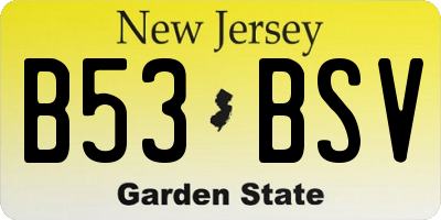 NJ license plate B53BSV