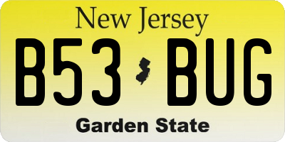 NJ license plate B53BUG