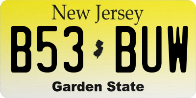 NJ license plate B53BUW
