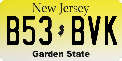 NJ license plate B53BVK