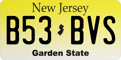 NJ license plate B53BVS