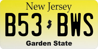 NJ license plate B53BWS