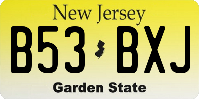 NJ license plate B53BXJ