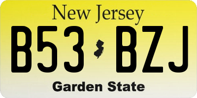 NJ license plate B53BZJ
