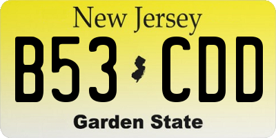 NJ license plate B53CDD