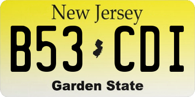 NJ license plate B53CDI