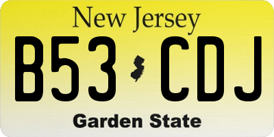 NJ license plate B53CDJ