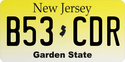 NJ license plate B53CDR