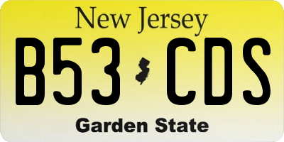 NJ license plate B53CDS