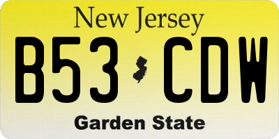 NJ license plate B53CDW