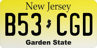 NJ license plate B53CGD