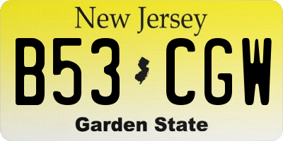 NJ license plate B53CGW