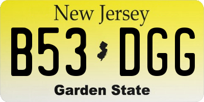 NJ license plate B53DGG