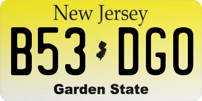 NJ license plate B53DGO