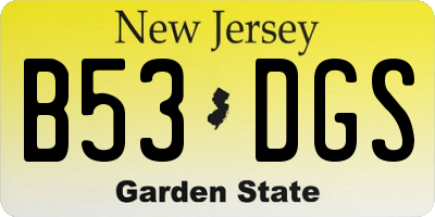 NJ license plate B53DGS