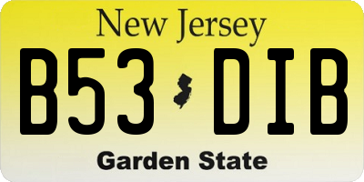 NJ license plate B53DIB