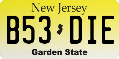 NJ license plate B53DIE
