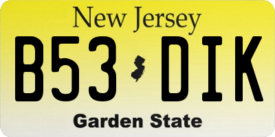 NJ license plate B53DIK