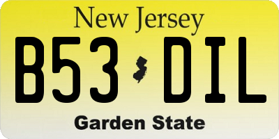 NJ license plate B53DIL
