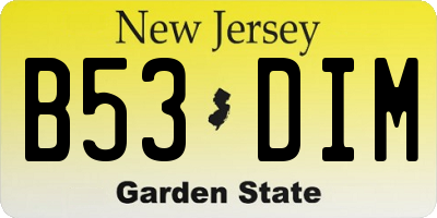 NJ license plate B53DIM
