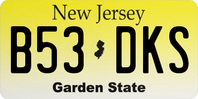 NJ license plate B53DKS