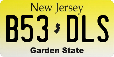 NJ license plate B53DLS
