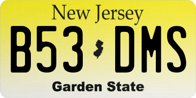 NJ license plate B53DMS