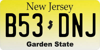 NJ license plate B53DNJ