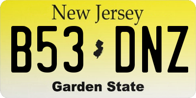 NJ license plate B53DNZ