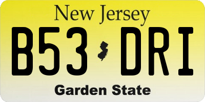 NJ license plate B53DRI