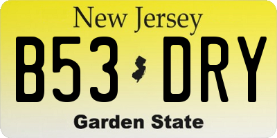 NJ license plate B53DRY