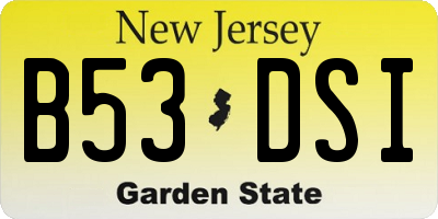 NJ license plate B53DSI