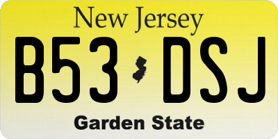 NJ license plate B53DSJ